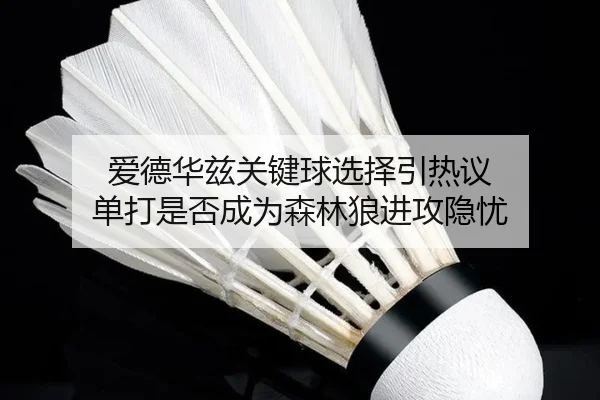爱德华兹关键球选择引热议 单打是否成为森林狼进攻隐忧